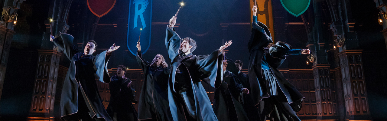 Harry Potter and the Cursed Child at Curran