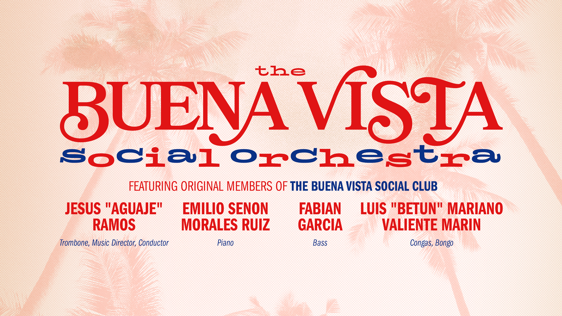 The Buena Vista Social Orchestra